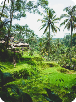 Bali